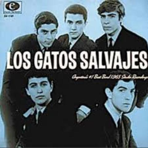 Llegaron a Buenos Aires Los Gatos Salvajes