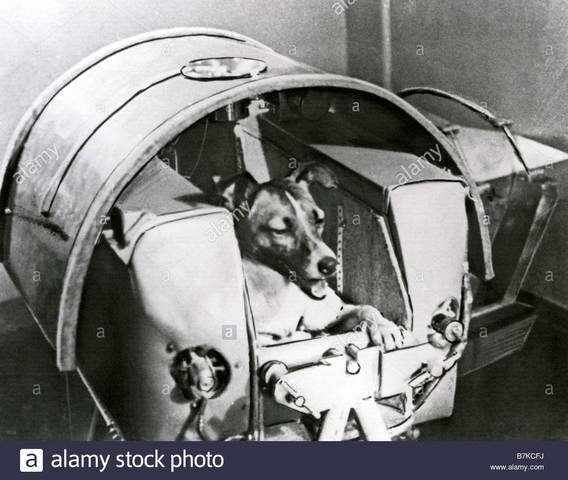 Se lanza el Sputnik 2.