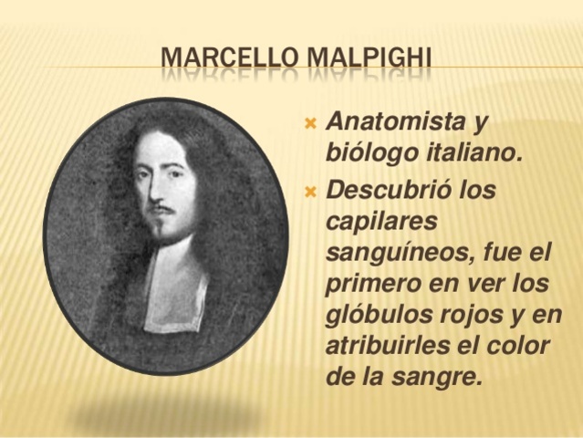 MARCELLO MALPIGHI 1628-1694
