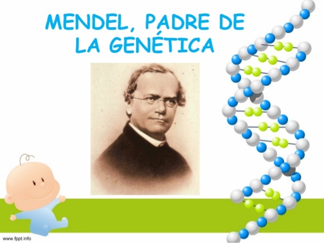 GREGOR MENDEL 1822-1884