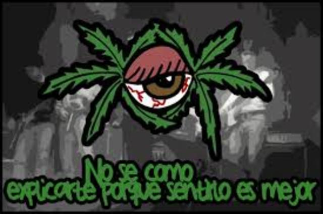 Viejas Locas se consolidó con "Me Gustas Mucho"