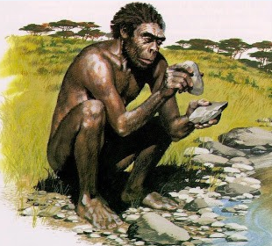 El origen de las enfermedades y la medicina