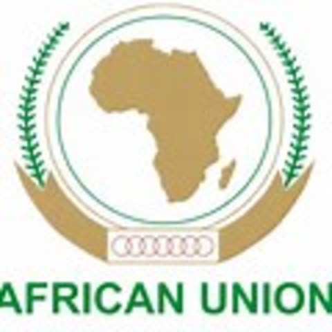 Peace and Security Council (PSC) of the African Union