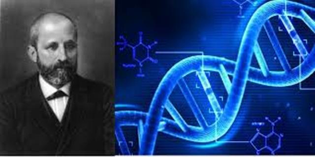 Friedrich Miescher (1844-1895)