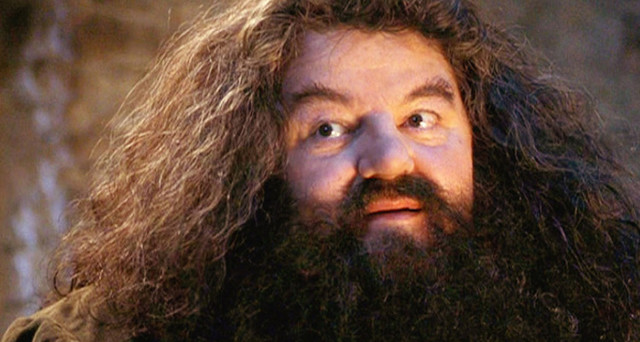 Nace Rubeus Hagrid