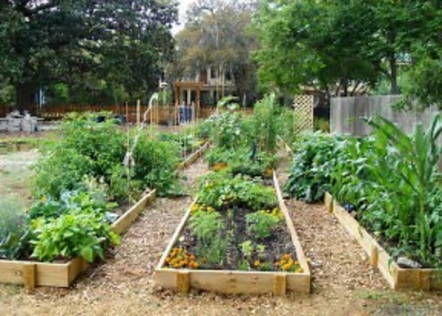 Development of the Raised Garden Beds