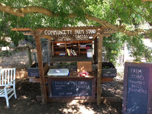Development of the GW Food Farm Stand