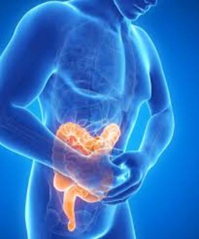 digestive problems such as ulcer might arise