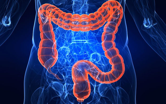 Colorectal cancer screening