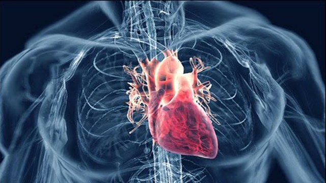 Concern: increase risk of heart diseases