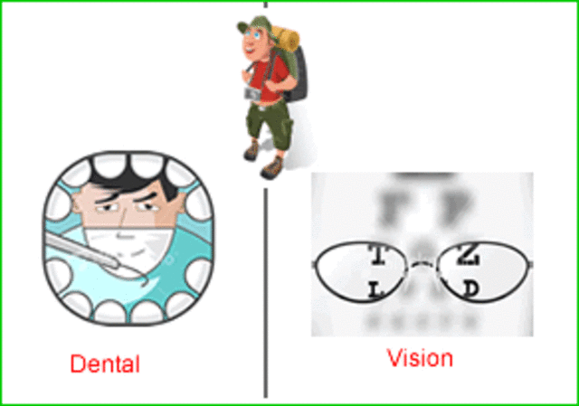 dental and eye exam once a year