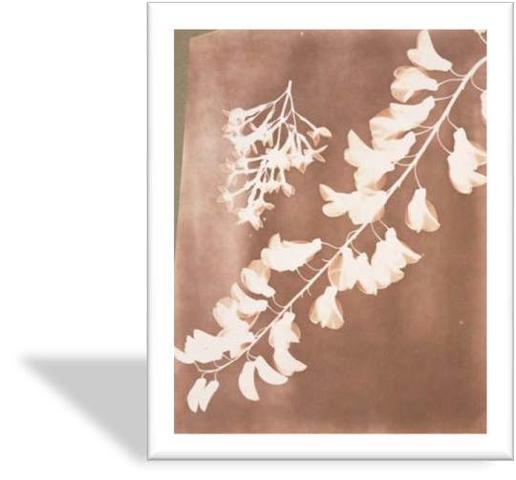 Talbotipo o Calotipo