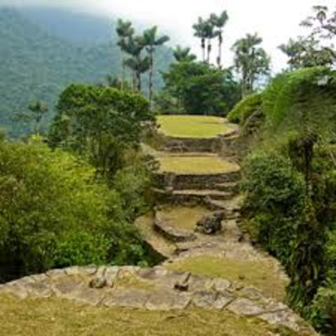 LOS TAIRONAS LLEGAN A LA SIERRA NEVEDA