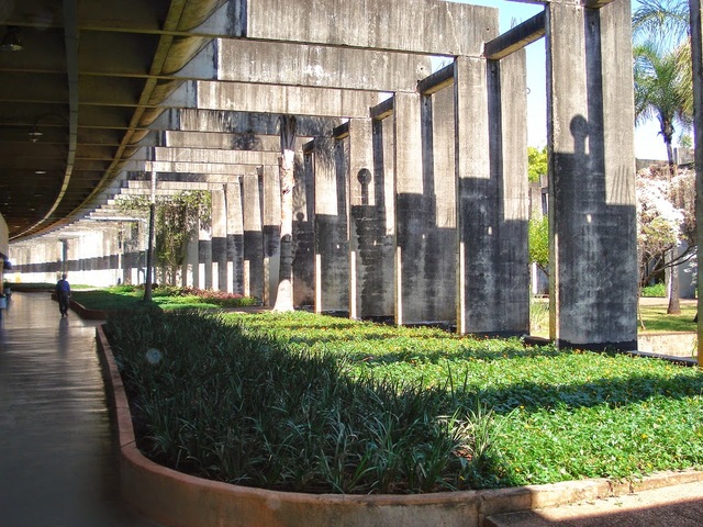 Oscar Niemeyer, Universidad de Brasilia