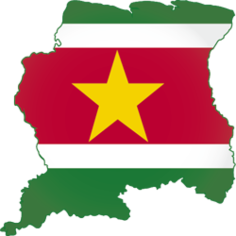 Misión especial de Suriname
