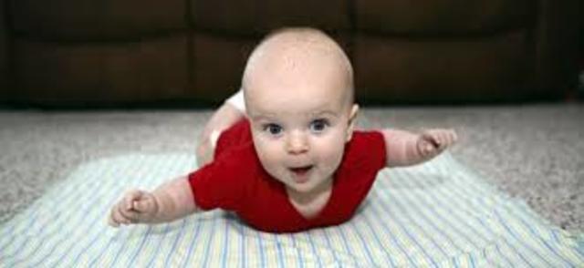 Desarrollo en la primer infancia- Primer Año