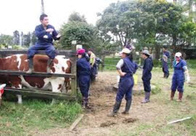 TÉCNICA EN PRODUCCIÓN PECUARIA
