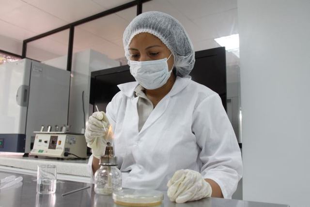 ESTUDIO DE BIOTECNOLOGIA