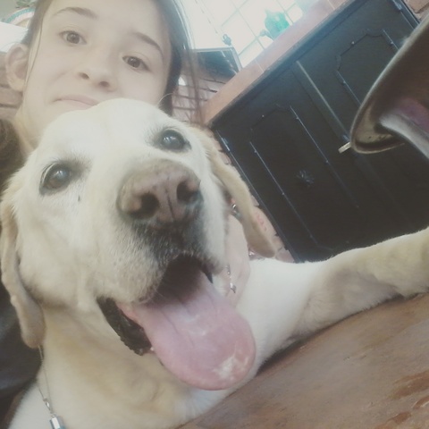 Murió mi primera mascota