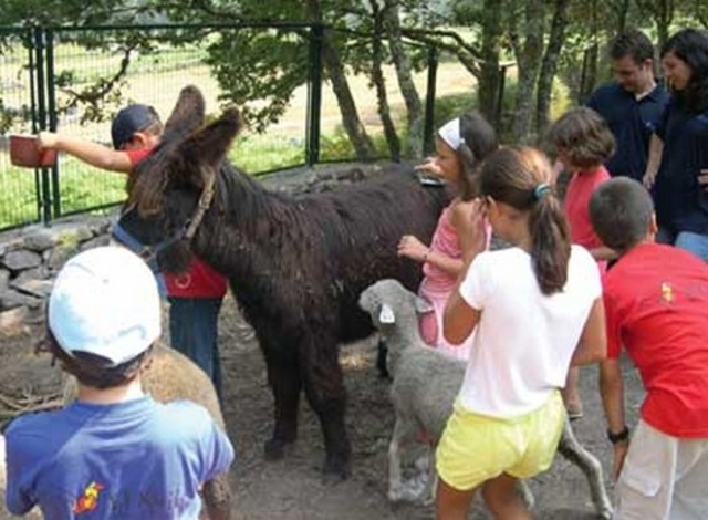 excursión a la granja