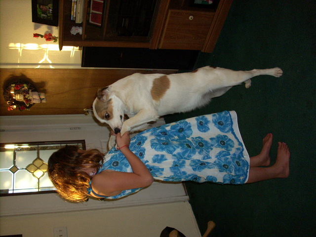 The day I got my dog