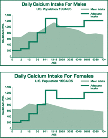 Importance of Calcium