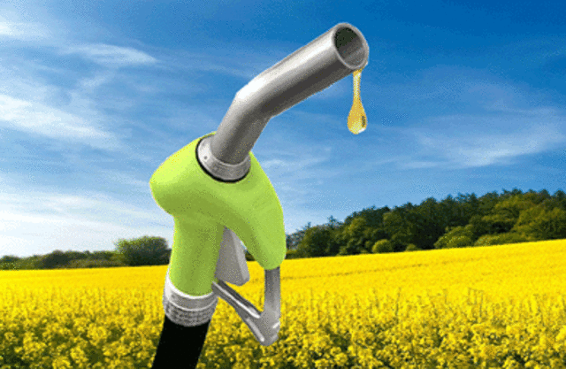 Biodiesel