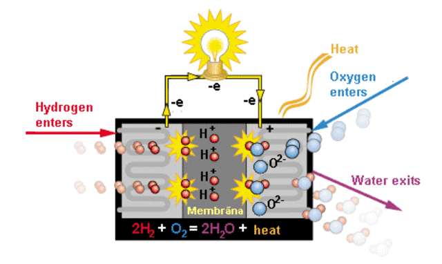 Electricity Transforms Chemicals