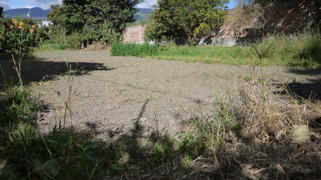 Preparación del terreno