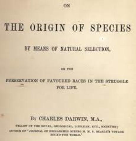 Origin of Species