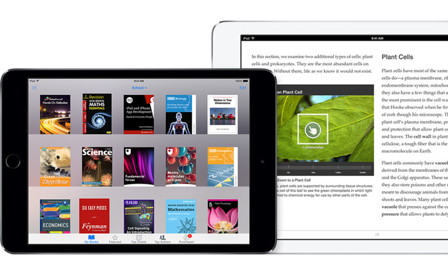 Se utiliza la denominación “Objeto Educacional”