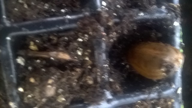 toma del primer dato