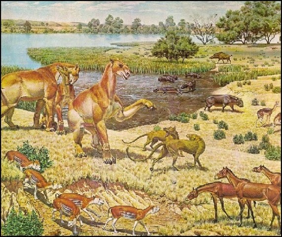 APARICIÓN DE LOS MAMÍFEROS