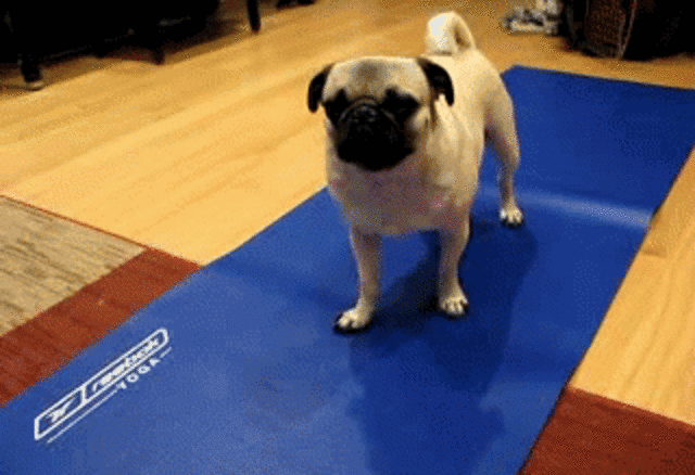 50s Physical Health/Activity