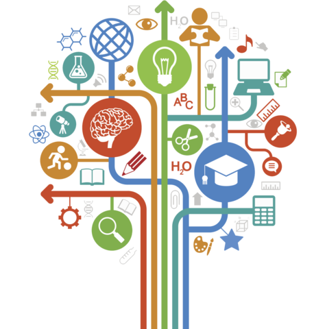 Participar en actividades extracurriculares.