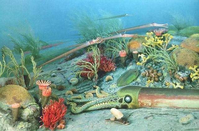 Era Paleozoica parte 2