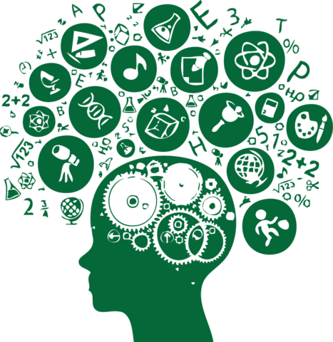 Curso completo formado por OA