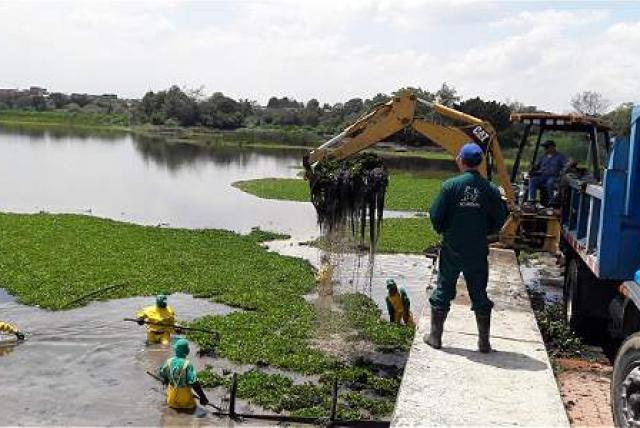 nvertirán $ 30.000 millones para recuperar los humedales de Bogotá