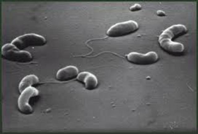 John Snow aporta la etiología de la cólera.