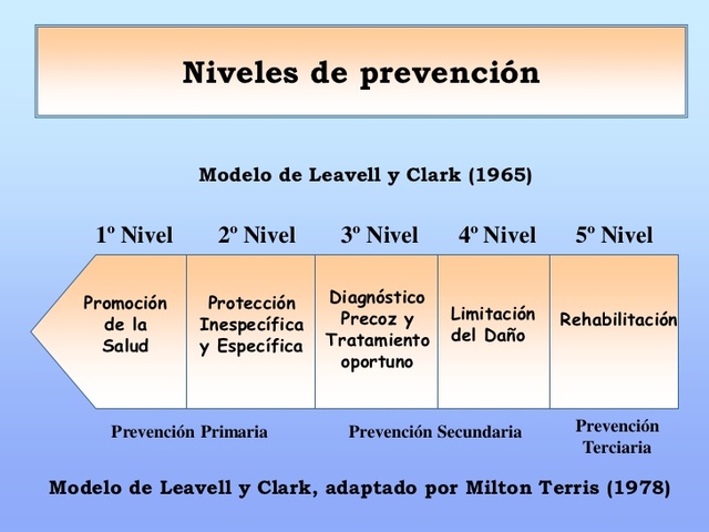 Historia natural de la enfermedad