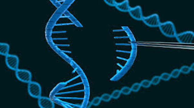 Secuenciación del ADN