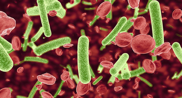 Epidemiología de las Enfermedades Infecciosas