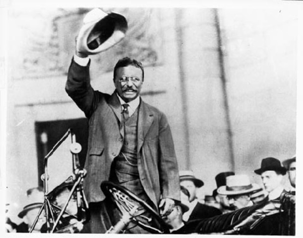 Teddy Goes for Governor