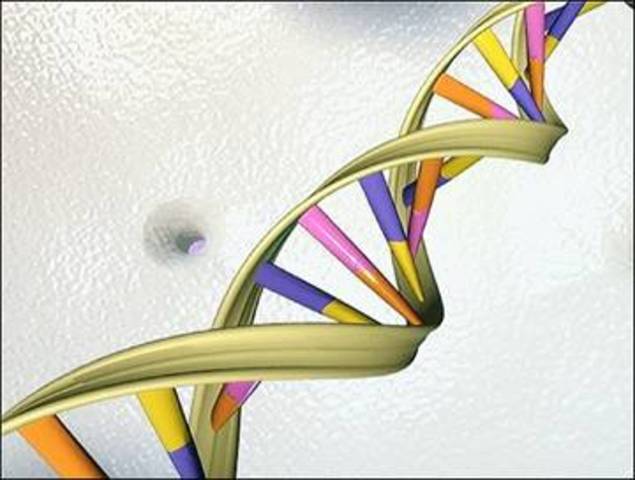 Descubrimiento de la estructura del ADN (CIENTIFICO-TECNOLOGICO)