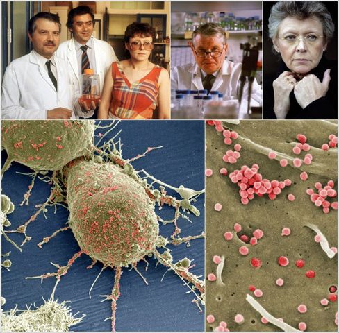 DESCUBRIMIENTO DEL VIH (SIDA)(CIENTIFICO-TECNOLOGICO)