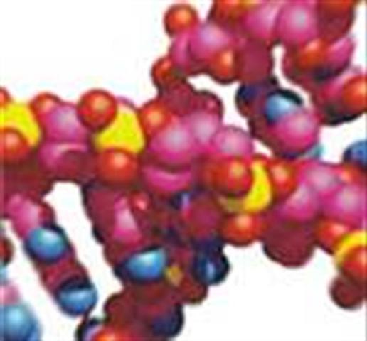 DESCIFRAN EL GENOMA HUMANO (CIENTÍFICO-TECNOLOGICO)