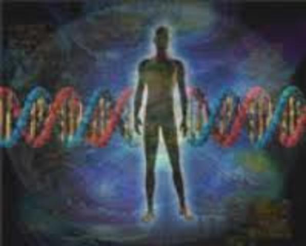 Los seres humanos tienen entre 20.000 y 25.000 genes