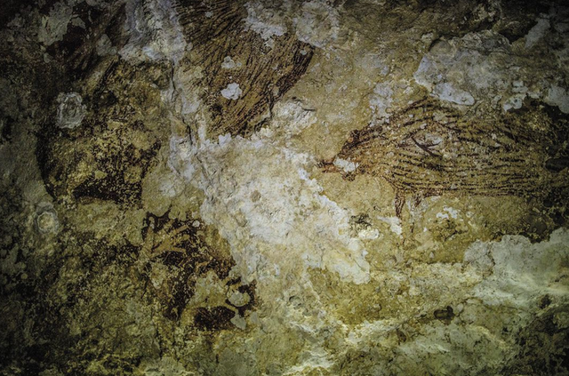Indonesian Cave Paintings