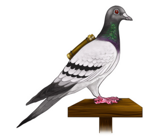 Messenger Pigeons