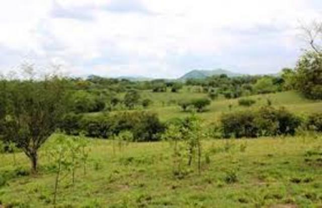 LEY DE TIERRAS BALDIAS